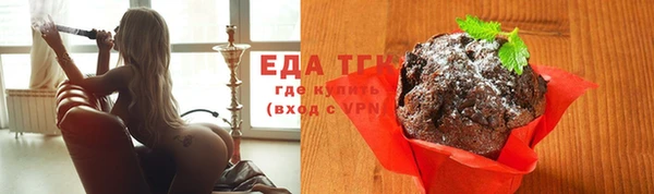 индика Алексин