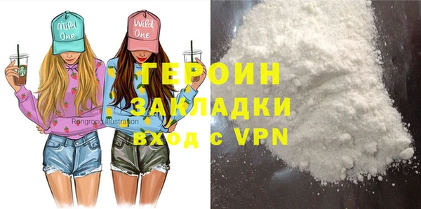 индика Алексин