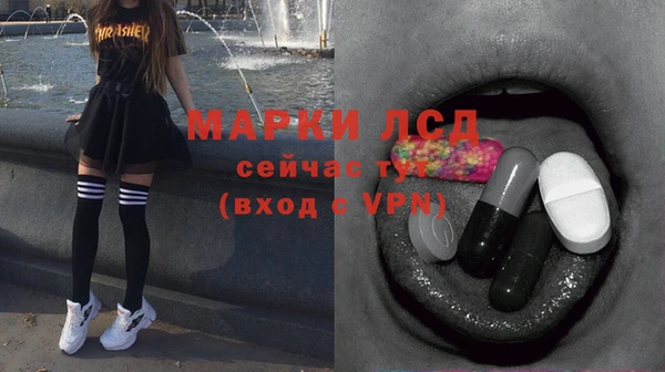 индика Алексин