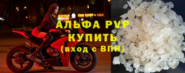 индика Алексин
