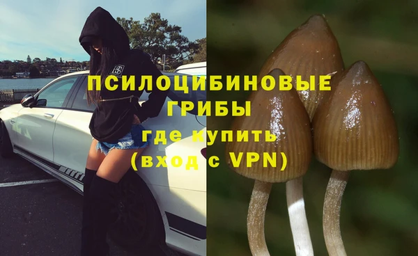 индика Алексин