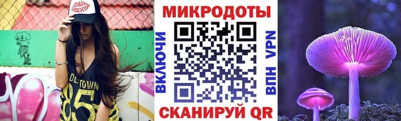 как найти   Сурск  Галлюциногенные грибы Psilocybe 